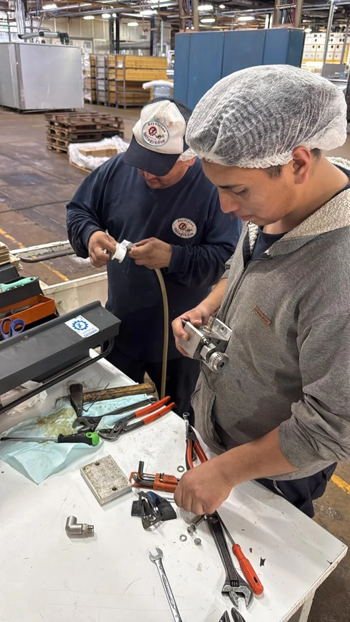 Formación en Planta — Análisis operativo y fortalecimiento del liderazgo técnico en planta.